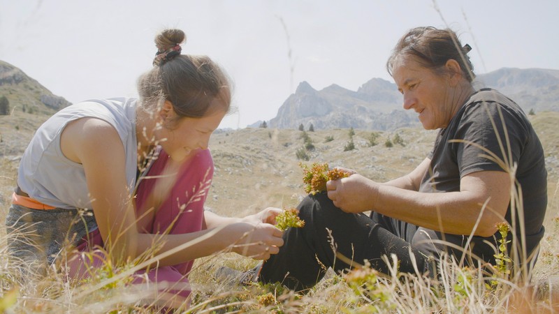 Film „Planina“ Biljane Tutorov i Petra Glomazića, pobednik Sandens festivala, evropska premijera na CPH:DOX 2026