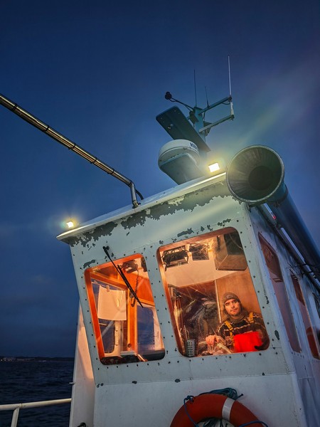 HONOR Magic8 Pro kamera