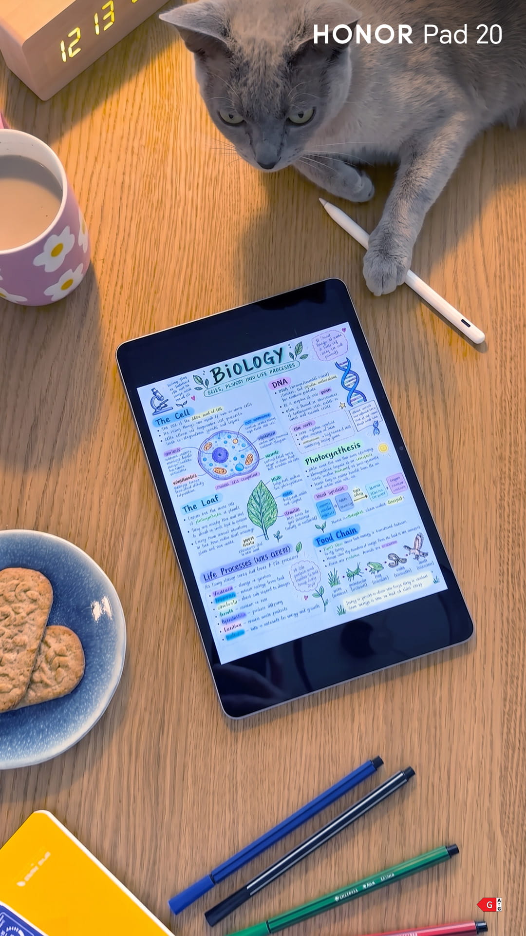 Kraći dani, duže noći: Kako pametnije koristiti telefon i tablet tokom jeseni i zime?